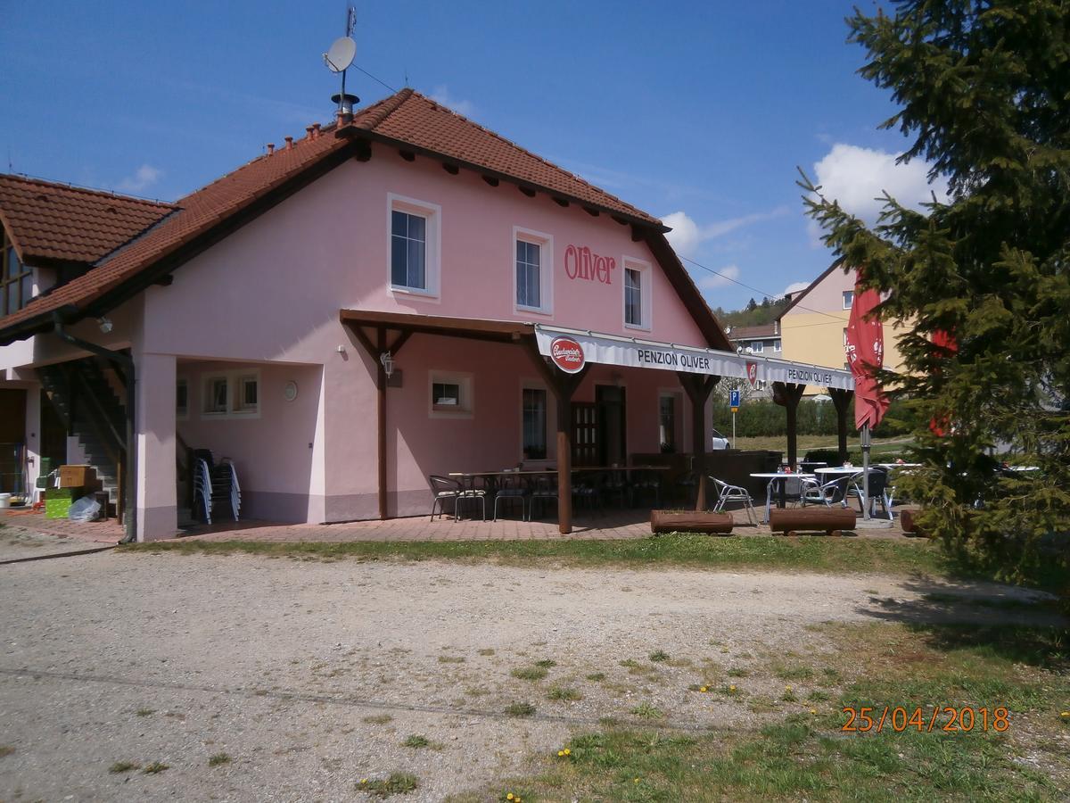 Penzion Oliver Horni Plana Exterior photo