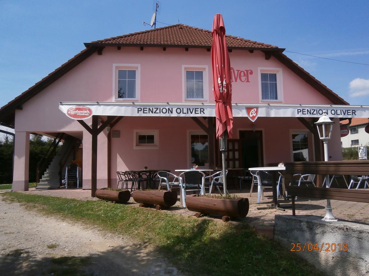 Penzion Oliver Horni Plana Exterior photo