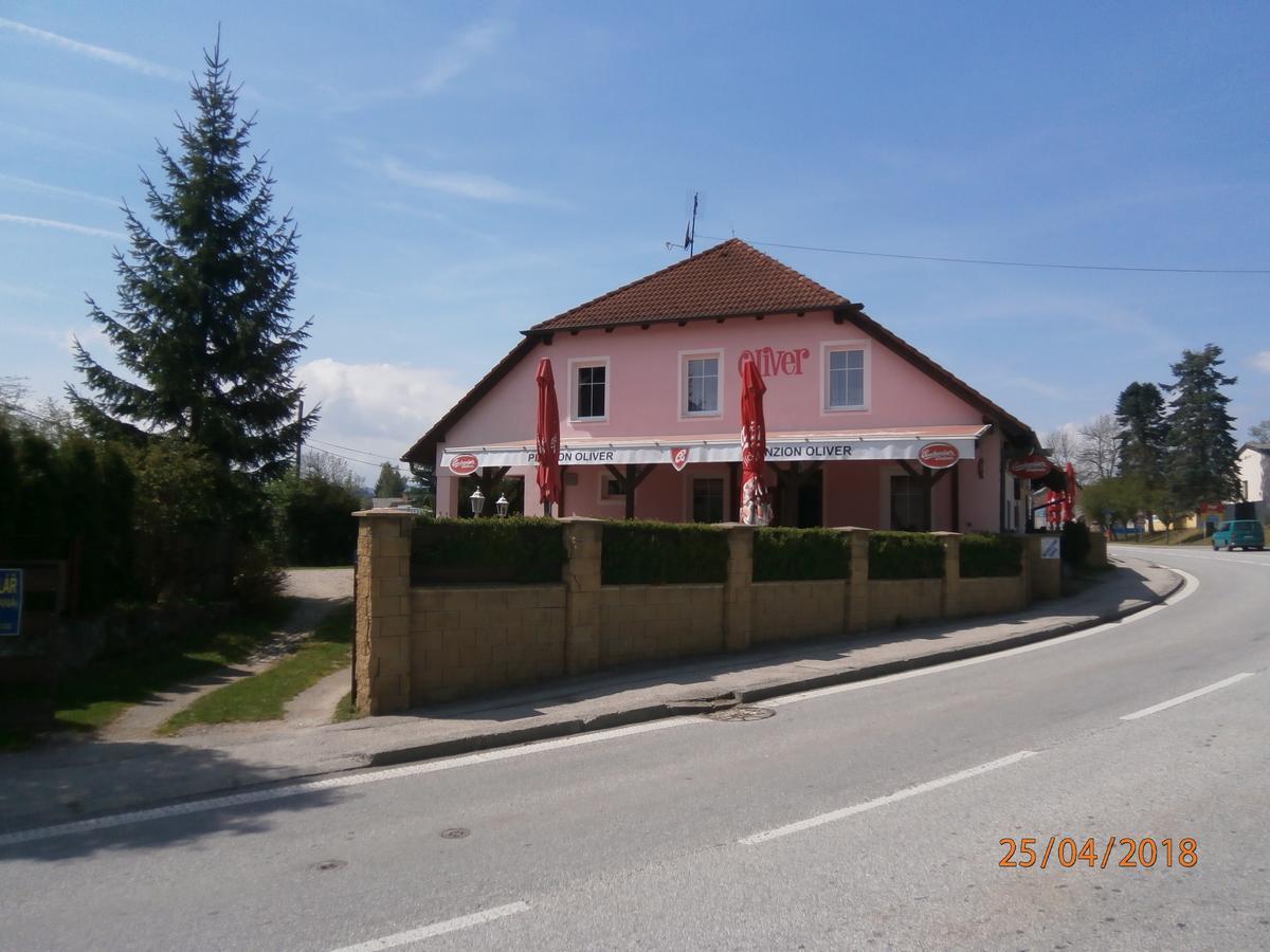 Penzion Oliver Horni Plana Exterior photo